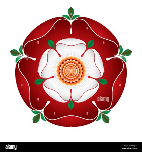 vintage tudor rose|symbol of england rose.